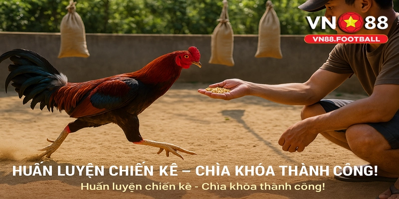 Huấn luyện chiến kê chuyên nghiệp cho Đá Gà VN88!